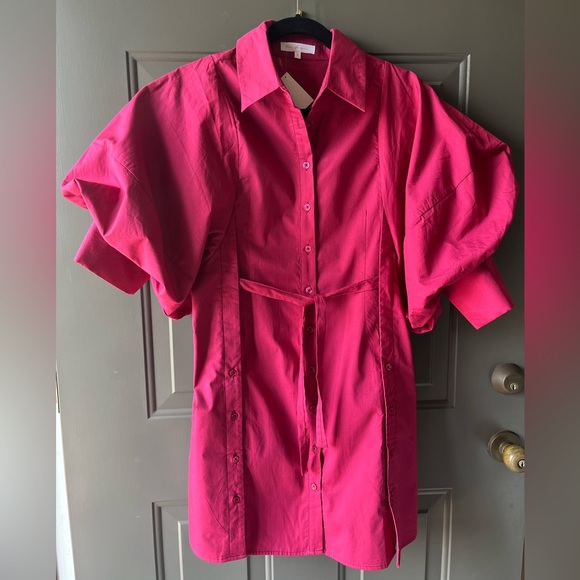 Fabulous Chic Button Detailed Balloon Sleeve  Dress Tunic - Picture 6 of 7